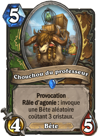 hearthstone, carte Chouchou du professeur