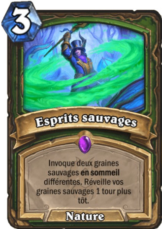 hearthstone, carte Esprits sauvages